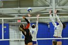 VB vs ENC  Wheaton College Women's Volleyball vs Eastern Nazarene College. - Photo By: KEITH NORDSTROM : Wheaton, volleyball, VB, Eastern Nazarene College